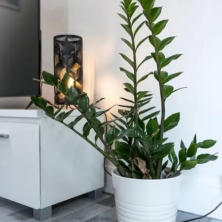 Le Serein Lägenhet Toulon